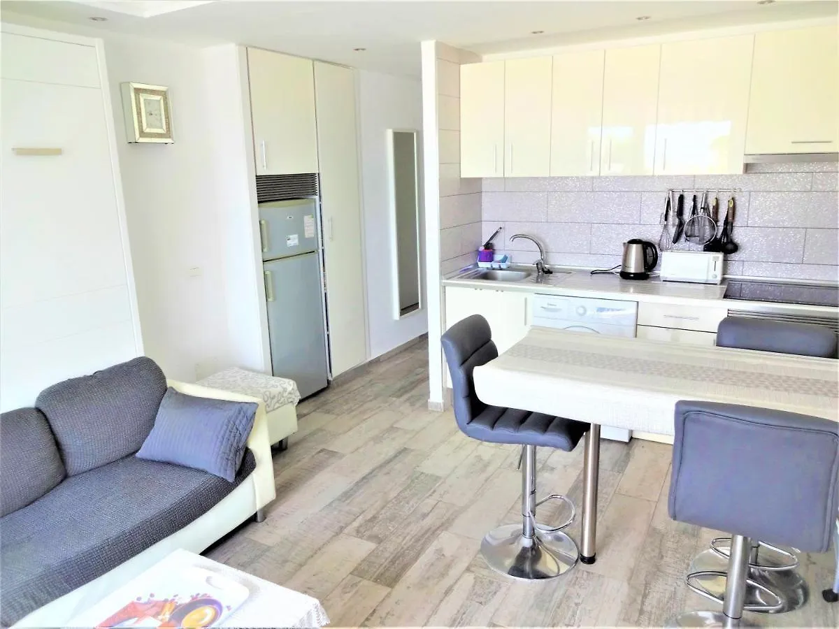 Sunset Apartment With Sea View And Free Wifi In The Heart Of Las Americas Playa de las Americas  0*, Playa de las Americas (Tenerife)